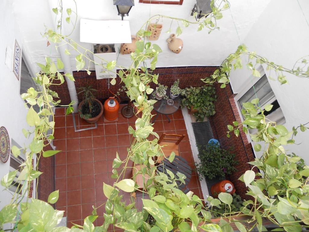 Pension Santa Maria La Blanca Sevilla Exteriör bild